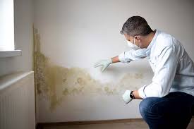 Best Mold Removal for HVAC Installations  in Sheboygan, WI